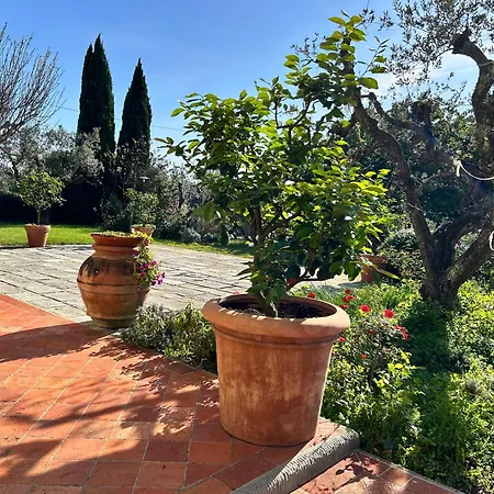 Panicale -toscana Capraia e Limite